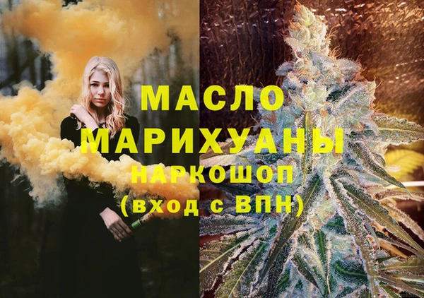 тгк Ельня