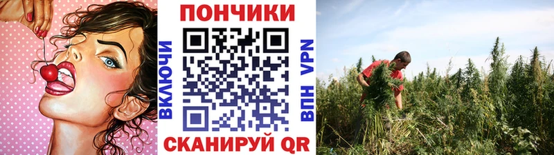 Бошки Шишки ГИДРОПОН Петровск-Забайкальский